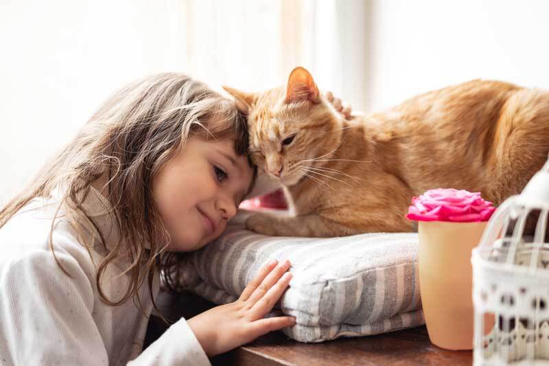 Girl with cat