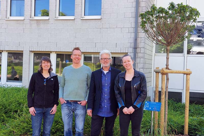 Tamara van Gog, Uwe Wilkesmann, Detmar Meurers, Ulrike Lucke next to Catalpa tree