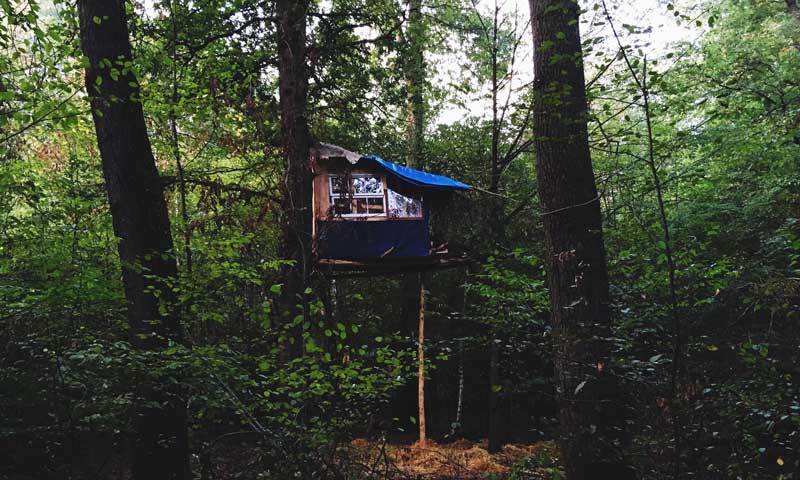 Baumhaus im Wald