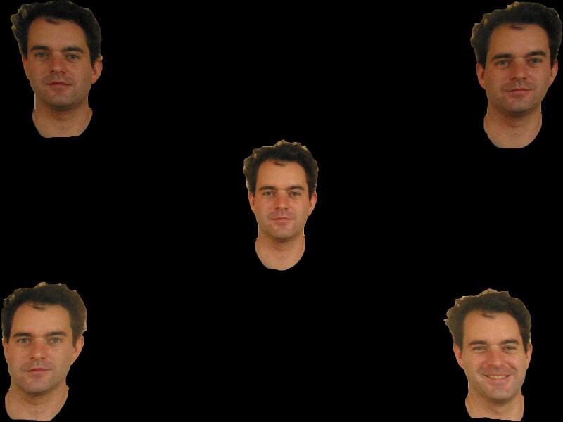 Pan Alexrectfaces