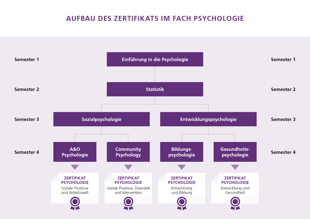 Aufbau des Zertifikats im Fach Psychologie